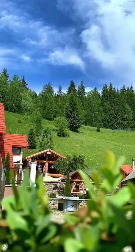 Вилла Casa Anghel Bilbor Экстерьер фото